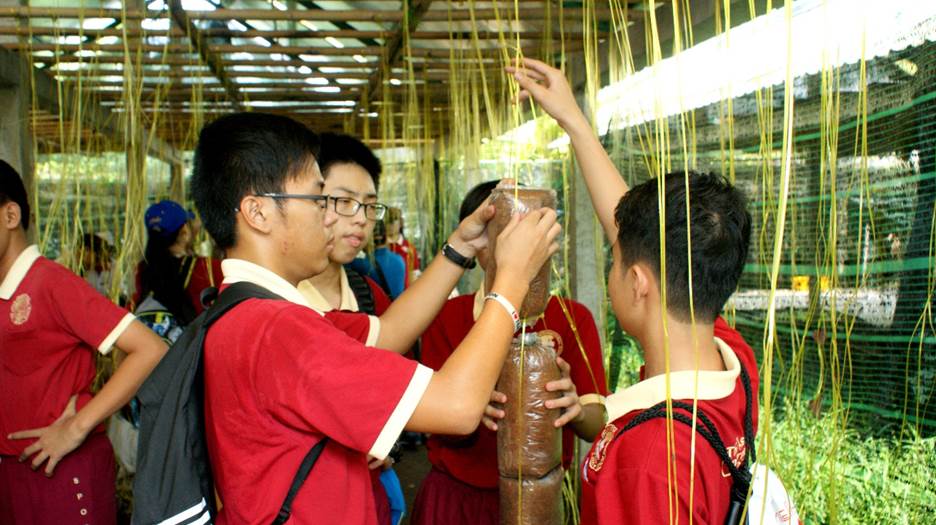  “Một ngày làm nông dân” - trải nghiệm hè thú vị của học sinh AHS