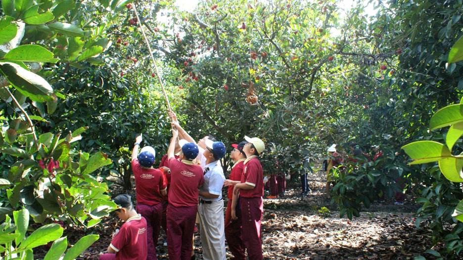 Dã ngoại miệt vườn cùng học sinh Quốc tế Á Châu 