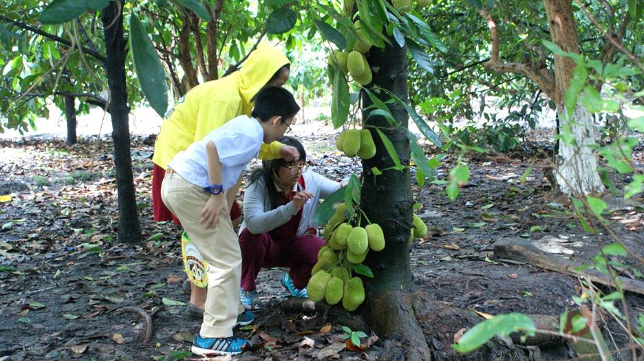 Dã ngoại miệt vườn cùng học sinh Quốc tế Á Châu 